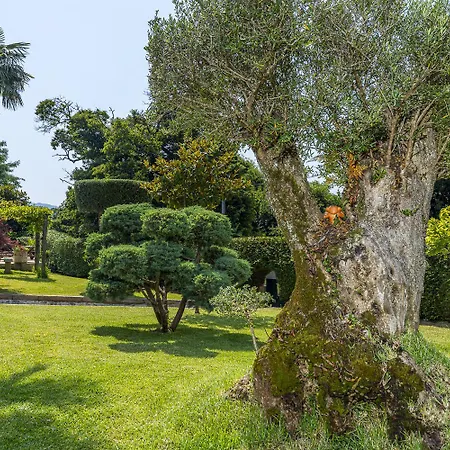 Βίλα In Minho Terra Lima Country Ponte de Lima